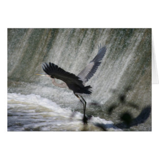 Great Blue Heron at falls card
