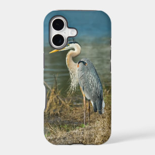 Great Blue Heron at the Lake
