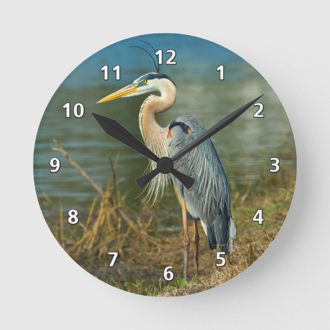 Great Blue Heron at the Pond Round Clock (Front)