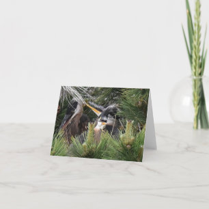 Great Blue Heron Baby Card