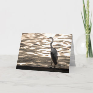 Great Blue Heron Bird At Sunset Blank Holiday Card