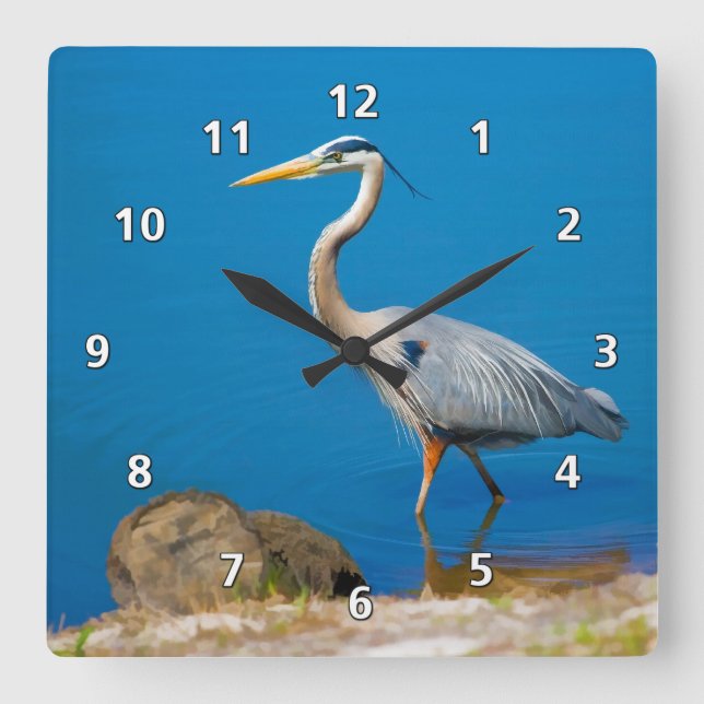Great Blue Heron Bird at the Pond Square Wall Clock (Front)