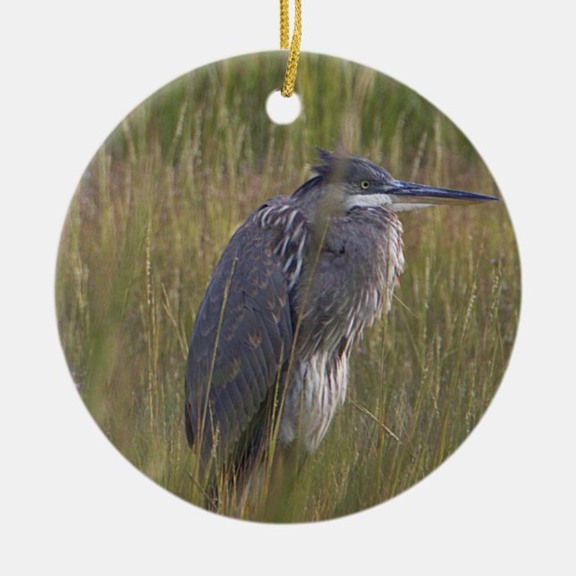 Great Blue Heron Bird Ornament (Front)