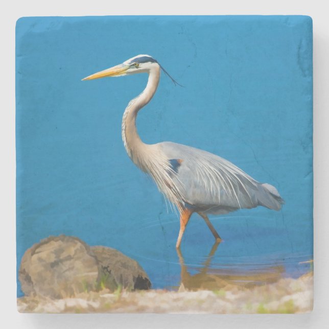 Great Blue Heron Bird Stone Coaster (Front)