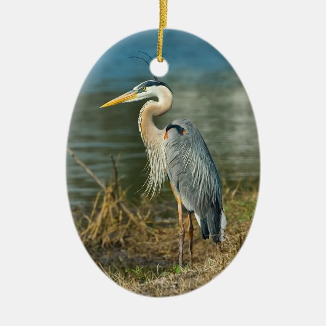 Great Blue Heron Bird Wildlife Ornament (Front)