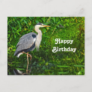 Great Blue Heron Bird Wildlife Photo Birthday Postcard