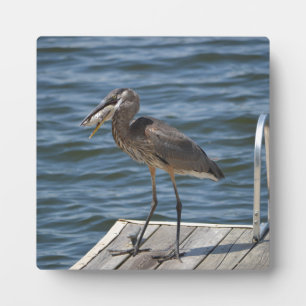 Great Blue Heron Bird Wildlife Photography Nature Plaque