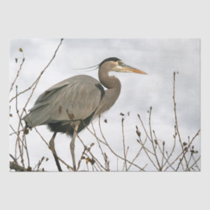 Great Blue Heron Bird Wildlife Tree Tissue Paper