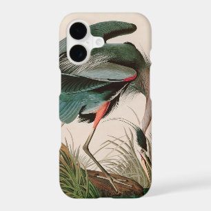 Great Blue Heron Birds of America Audubon Print