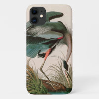 Great Blue Heron Birds of America Audubon Print