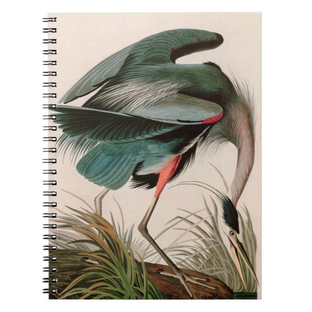 Great Blue Heron Birds of America Audubon Print Notebook (Front)