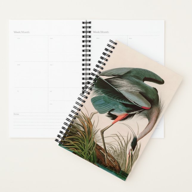 Great Blue Heron Birds of America Audubon Print Planner (Display)