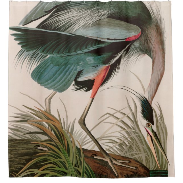 Great Blue Heron Birds of America Audubon Print Shower Curtain (Front)