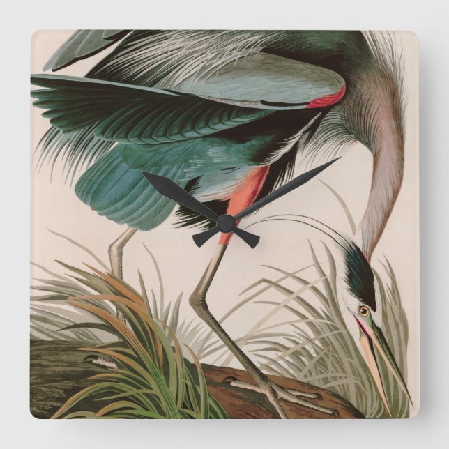 Great Blue Heron Birds of America Audubon Print Square Wall Clock (Front)