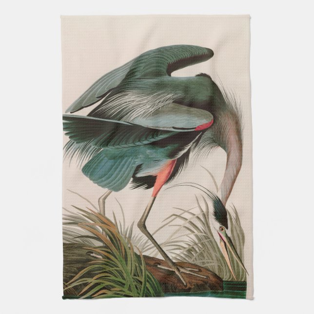 Great Blue Heron Birds of America Audubon Print Tea Towel (Vertical)