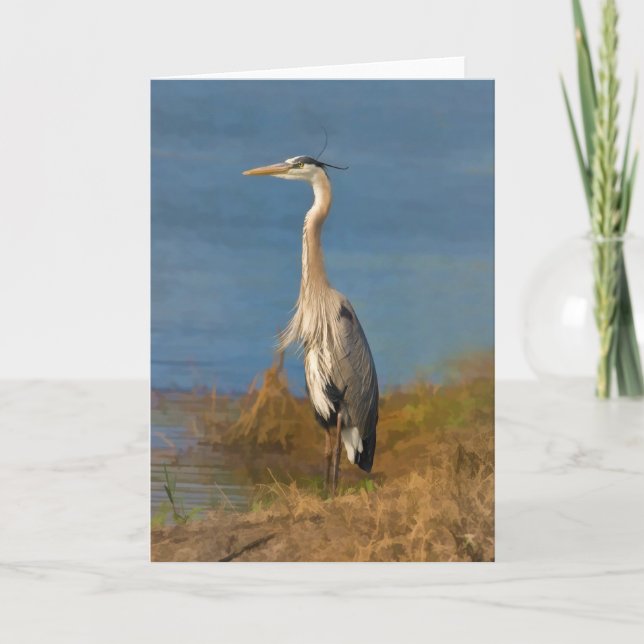 Great Blue Heron Blank Note or Greeting Card (Front)
