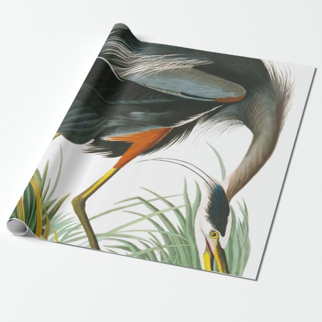 Great Blue Heron by John James Audubon Wrapping Paper (Unrolled)