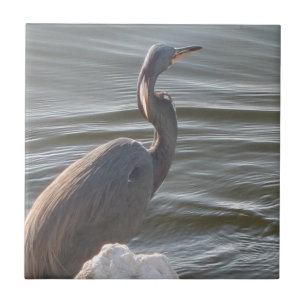 Great Blue Heron by the Water Ceramic Tile