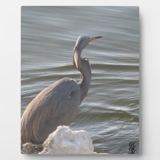 Great Blue Heron by the Water Plaque