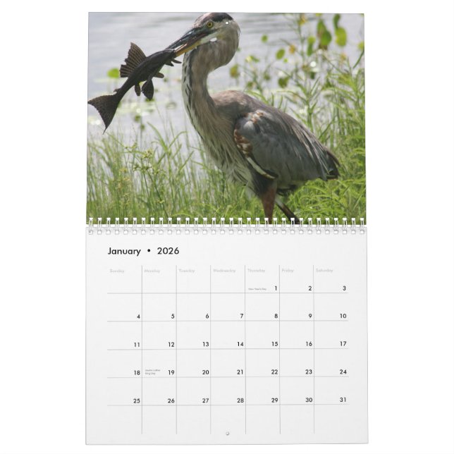 GREAT BLUE HERON CALENDAR (Jan 2026)
