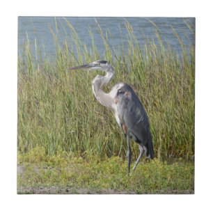 Great Blue Heron Ceramic Tile
