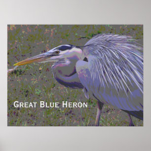 Great Blue Heron Challenge Poster