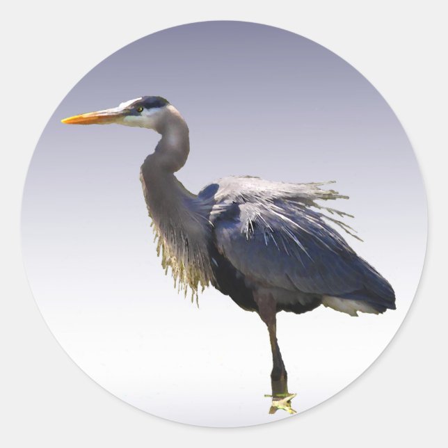 Great Blue Heron Classic Round Sticker (Front)