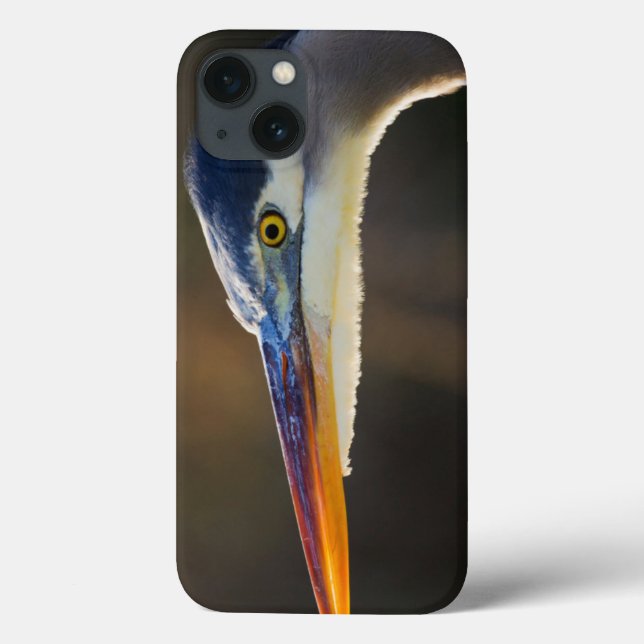 Great Blue Heron, close up portrait Case-Mate iPhone Case (Back)
