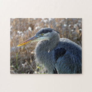 Great Blue Heron Close UP! Puzzle