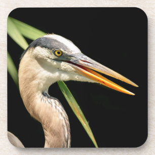 Great Blue Heron Coaster