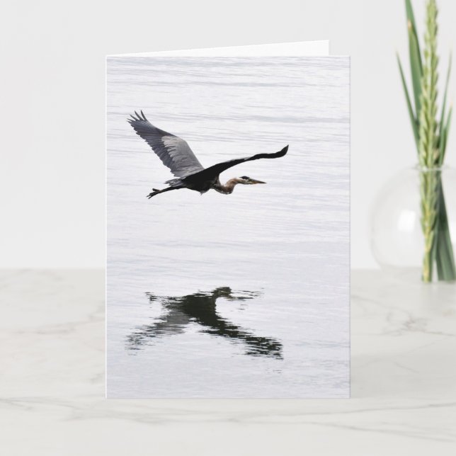 Great Blue Heron Flying Card (Front)