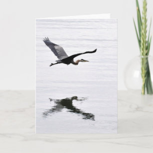 Great Blue Heron Flying Card