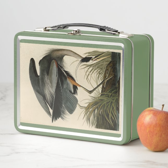 Great Blue Heron from Audubon's Birds of America Metal Lunch Box (In Situ)