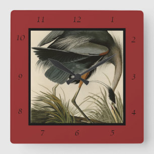 Great Blue Heron from Audubon's Birds of America Square Wall Clock
