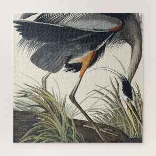 Great Blue Heron from Birds of America Jigsaw Puzzle