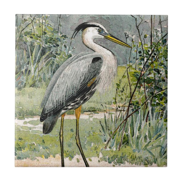 Great Blue Heron Illustration Tile (Front)