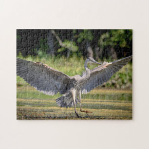 Great Blue Heron in flight Jigsaw Puzzle