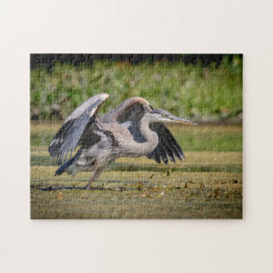 Great Blue Heron in flight Jigsaw Puzzle