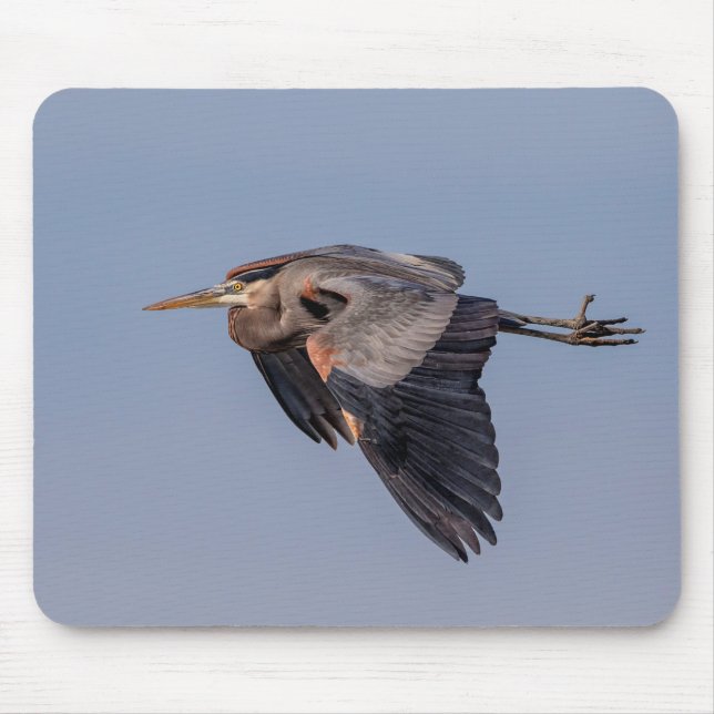 Great Blue Heron in flight Mouse Pad (Front)