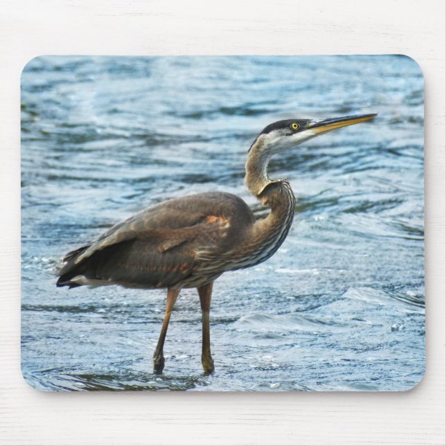 Great Blue Heron in the Blue Water Mouse Pad (Front)