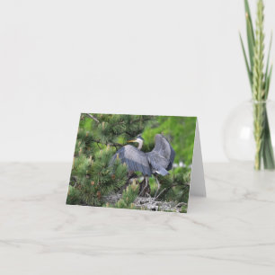 Great Blue Heron & its Babies! Card