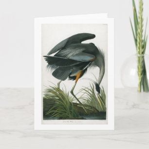 Great Blue Heron, John James Audubon Card