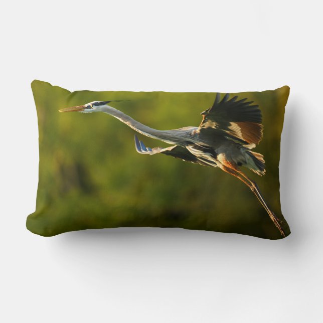 great blue heron lumbar cushion (Front)