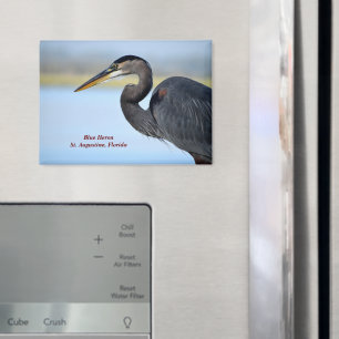 Great Blue Heron Magnet