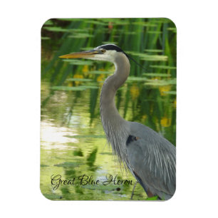 Great Blue Heron Magnet