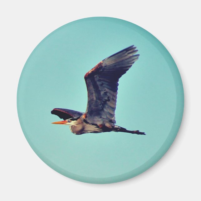 Great Blue Heron Magnet (Front)