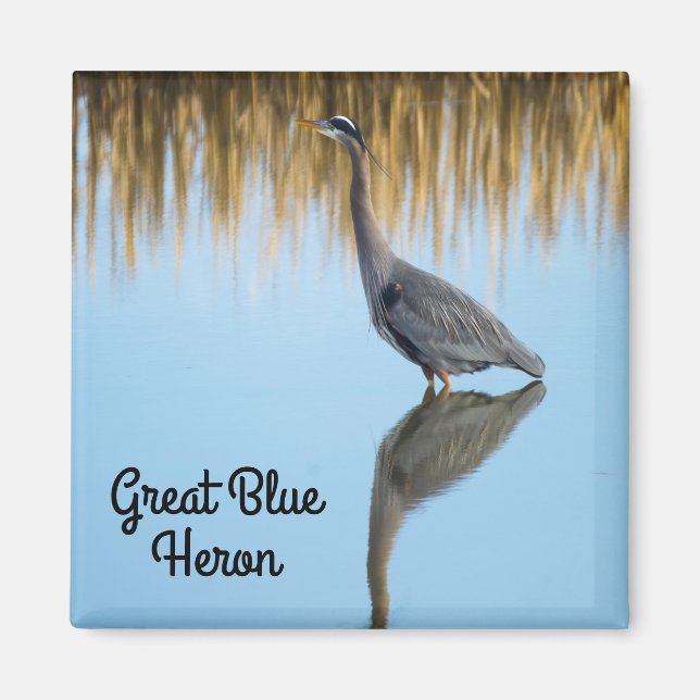 Great Blue Heron Magnet (Front)