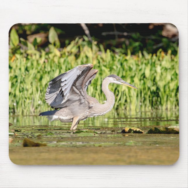 Great Blue Heron Mouse Pad (Front)