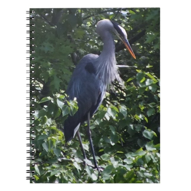 Great Blue Heron Notebook (Front)