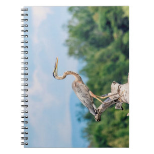 Great Blue Heron Notebook